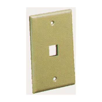 IC107F01IV - 1Port Face Ivory