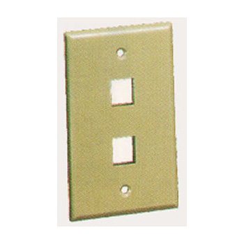 IC107F02IV - 2Port Face Ivory